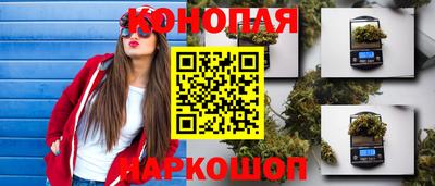 винт Краснодар